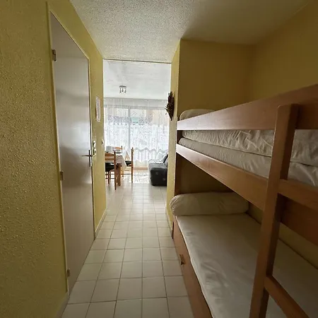 Apartment Centre-ville, Proche - Appt 2p Cabine, 4 Pers Avec Parking Prive, - Fr-1-250-114
