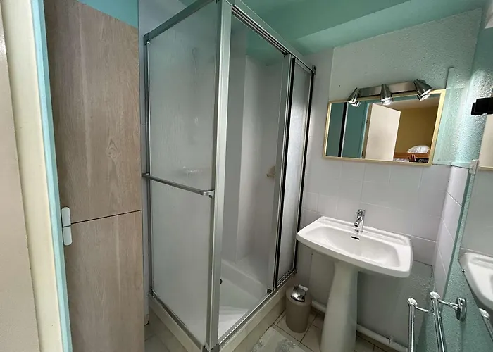 Daire Centre-ville, Proche - Appt 2p Cabine, 4 Pers Avec Parking Prive, - Fr-1-250-114