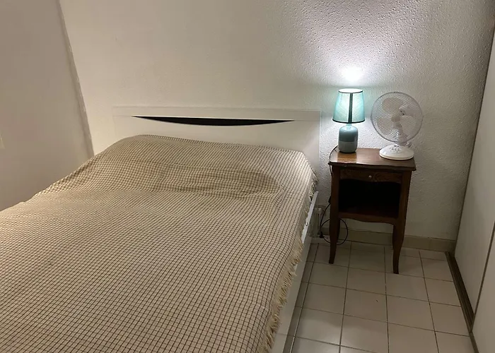 Centre-ville, Proche - Appt 2p Cabine, 4 Pers Avec Parking Prive, - Fr-1-250-114
