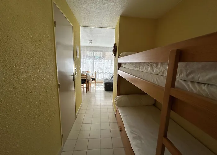 Daire Centre-ville, Proche - Appt 2p Cabine, 4 Pers Avec Parking Prive, - Fr-1-250-114