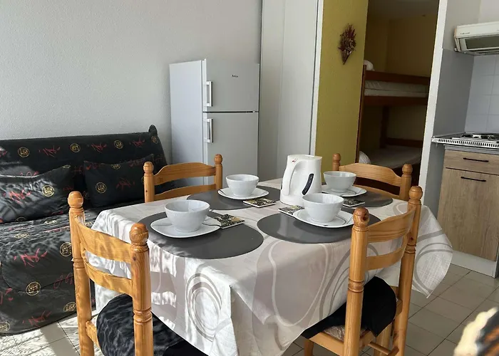 Daire Centre-ville, Proche - Appt 2p Cabine, 4 Pers Avec Parking Prive, - Fr-1-250-114